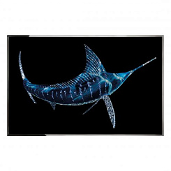 Картина BLU MARLIN