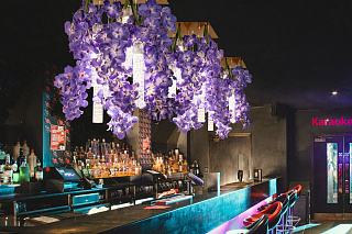 Энергия цветов VANDA