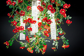 Сила цветов ДИКАЯ КРАСНАЯ РОЗА