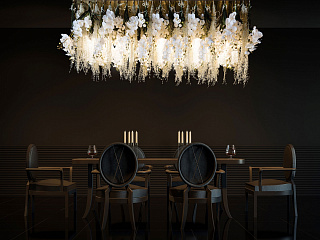 Сила цветов PHALAENOPSIS