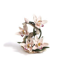 Цветы PRINCESS ORCHID