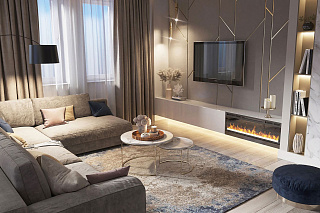 Очаг Synergy (BLF50)