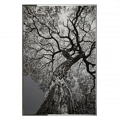 Картина ARBOR