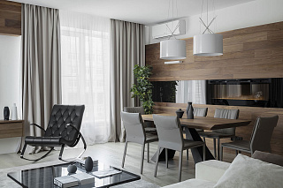 Очаг Synergy (BLF50)