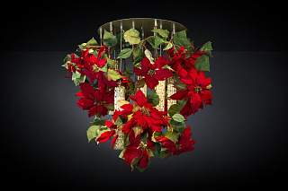 Сила цветов ПУАНСЕТТИЯ