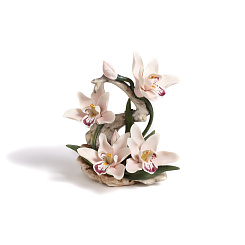 Цветы PRINCESS ORCHID