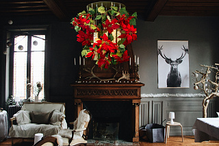 Сила цветов ПУАНСЕТТИЯ