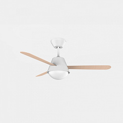 Вентилятор Buran