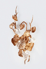 Бра Calathea Makoyana Large