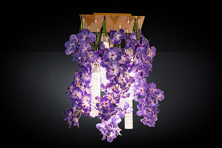 Энергия цветов VANDA